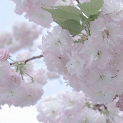 Furry插画氛围营造干货兽圈社群